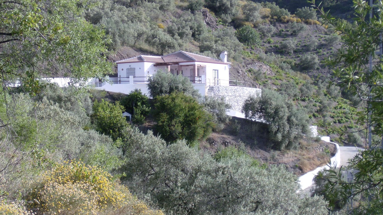 Photo of Others in Canillas de Albaida