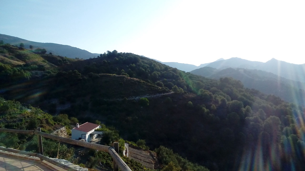 Photo of Others in Canillas de Albaida
