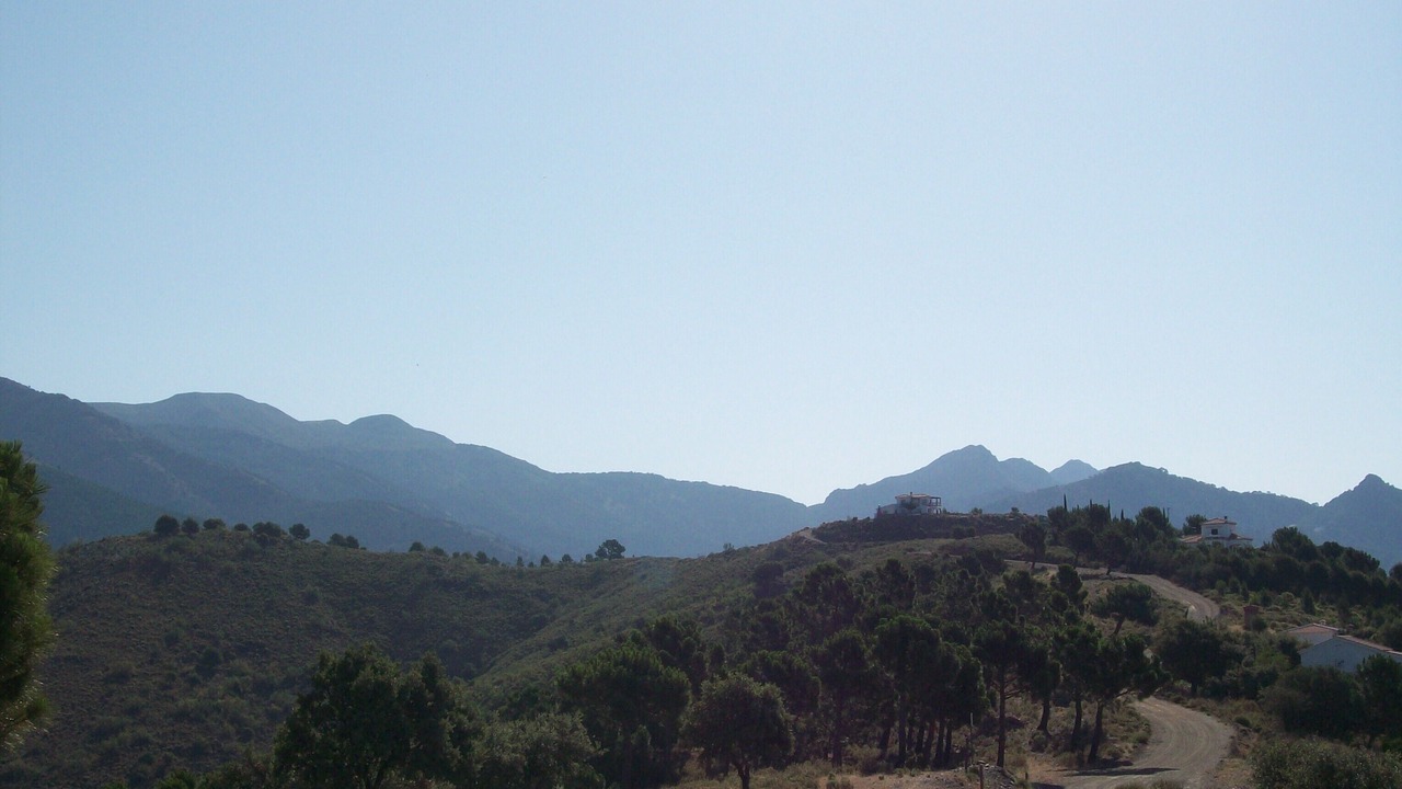 Photo of Others in Canillas de Albaida