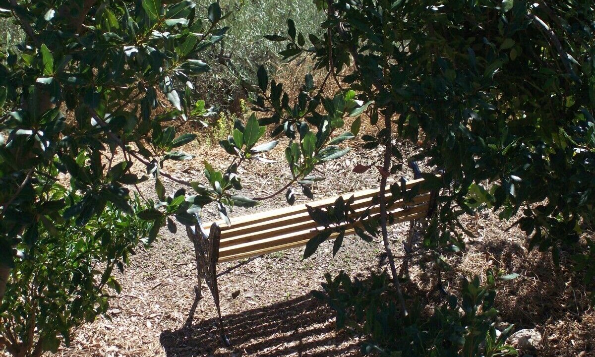 Photo of Outdoor in Canillas de Albaida