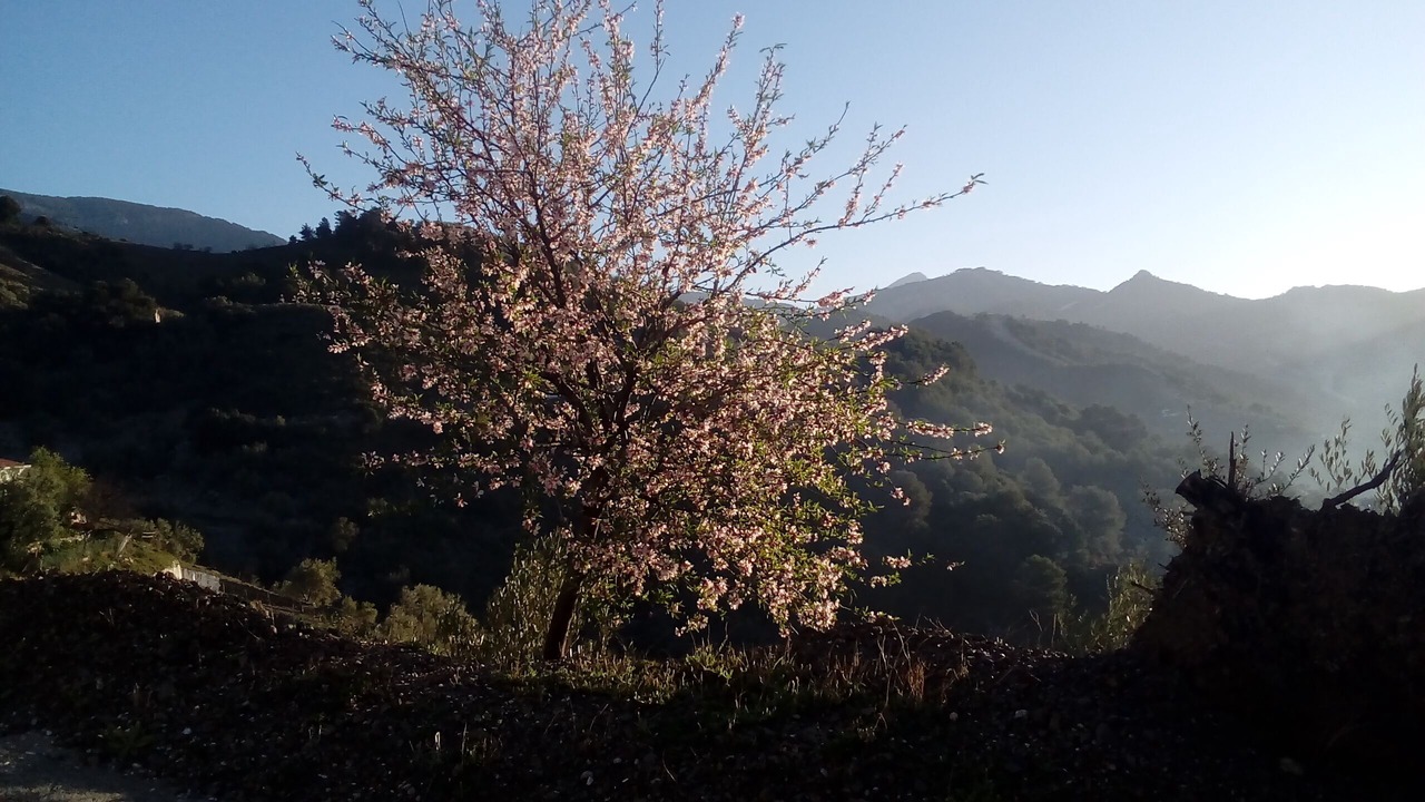 Photo of Outdoor in Canillas de Albaida