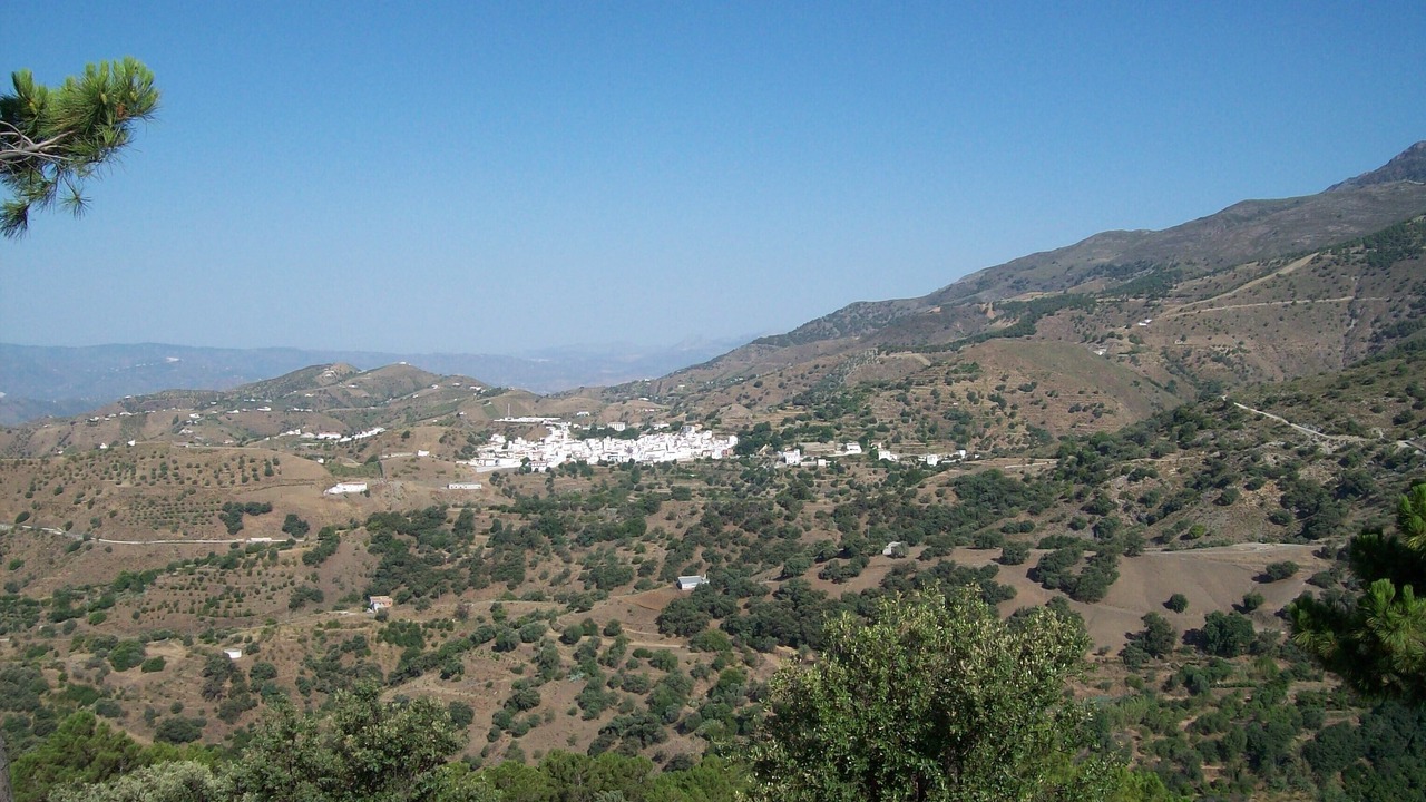 Photo of Others in Canillas de Albaida