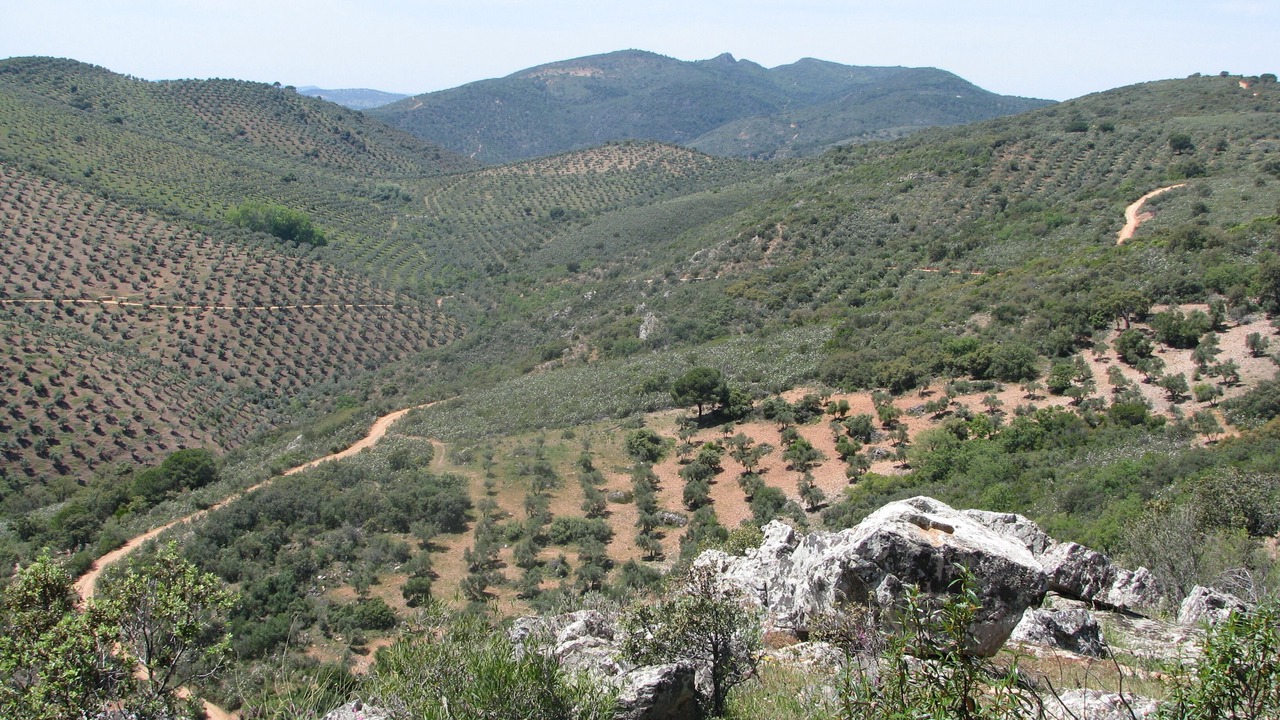 Photo of Outdoor in Pozoblanco