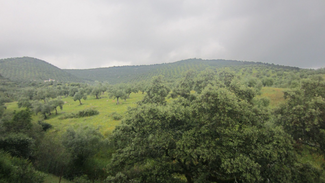 Photo of Outdoor in Pozoblanco