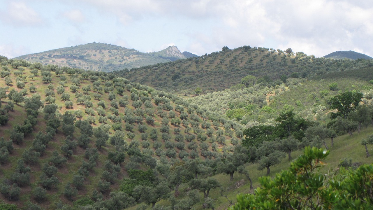 Photo of Outdoor in Pozoblanco