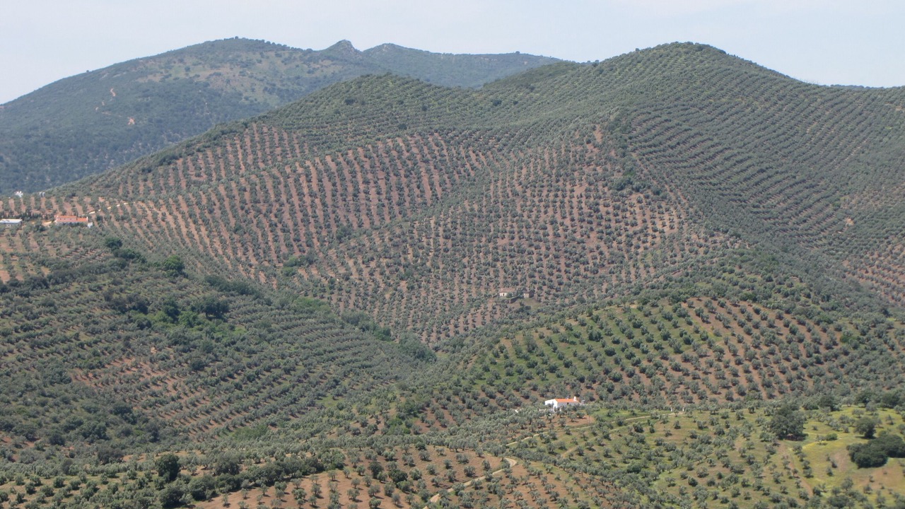Photo of Outdoor in Pozoblanco