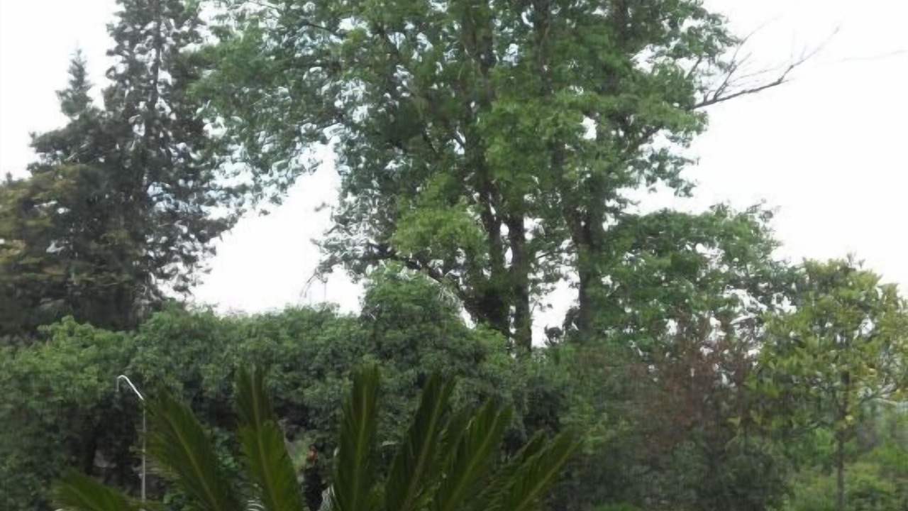 Photo of Outdoor in Carcabuey
