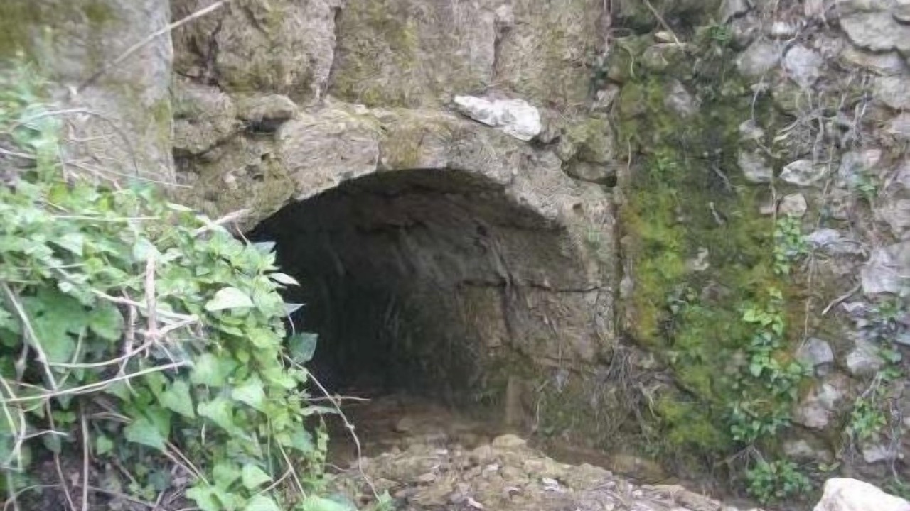 Photo of Outdoor in Carcabuey