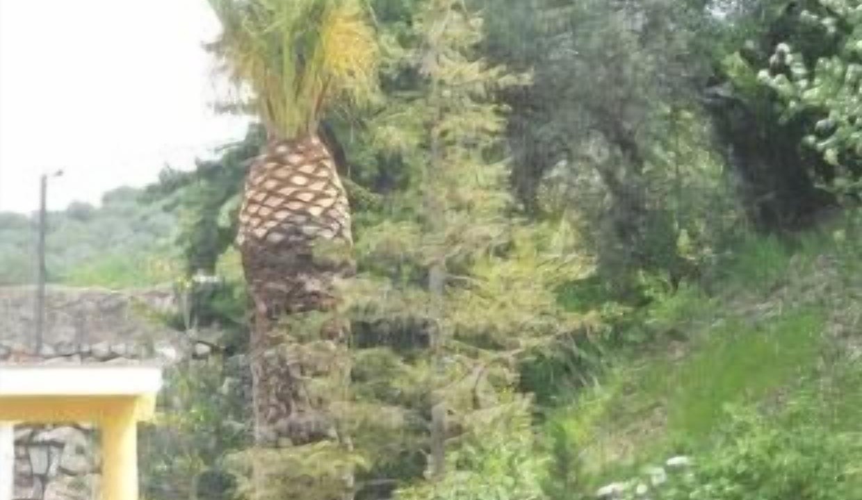 Photo of Outdoor in Carcabuey