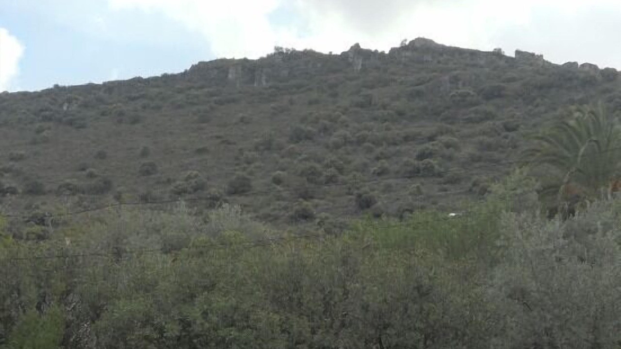 Photo of Others in Carcabuey