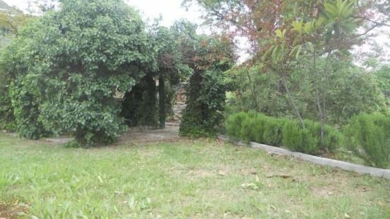 Photo of Outdoor in Carcabuey