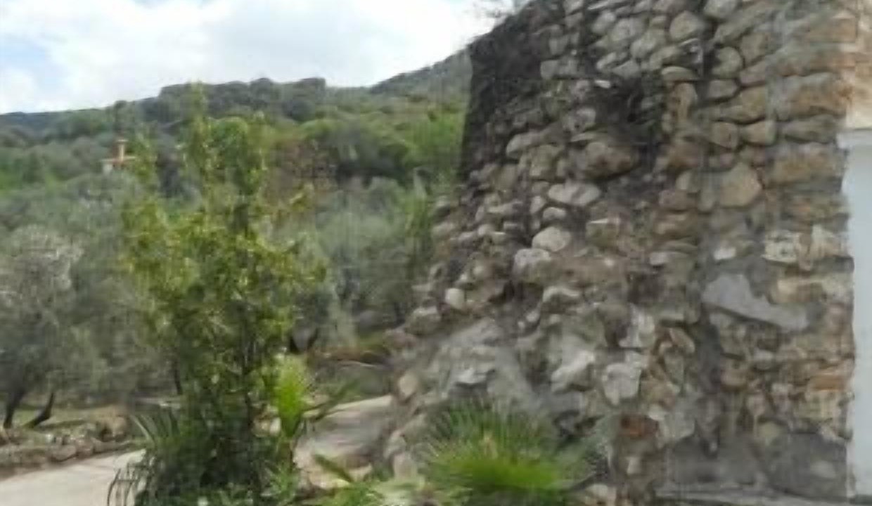Photo of Outdoor in Carcabuey