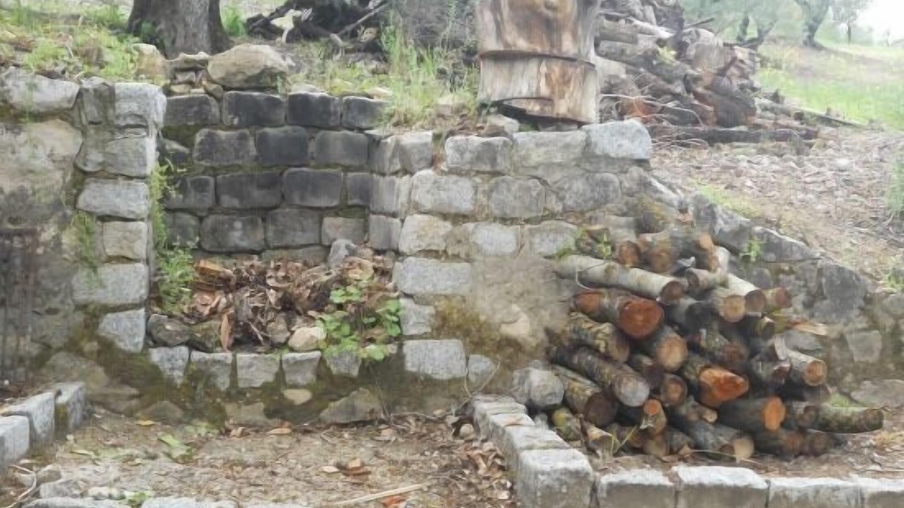 Photo of Outdoor in Carcabuey