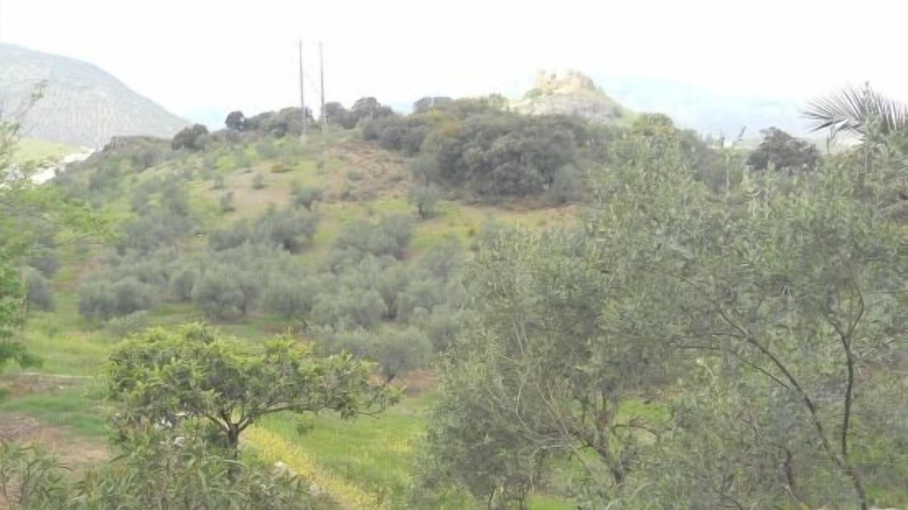 Photo of Outdoor in Carcabuey
