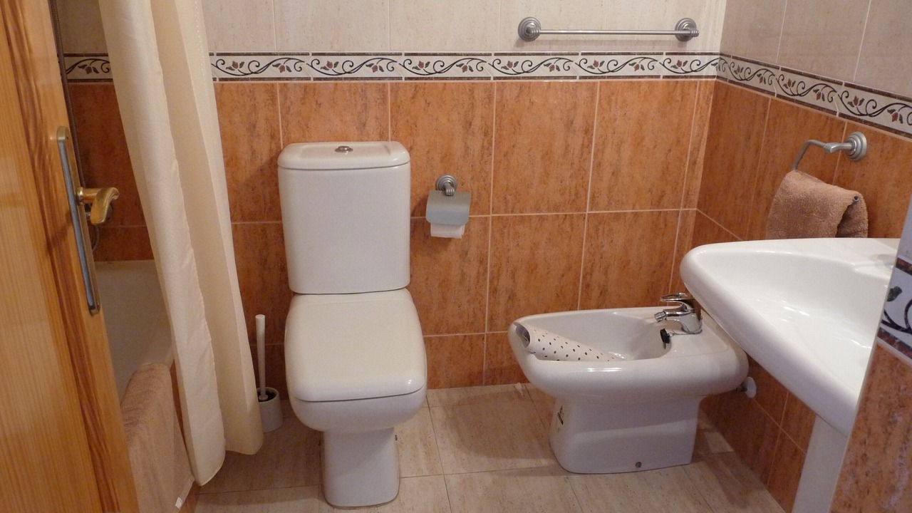 Photo of Others in Torreblanca