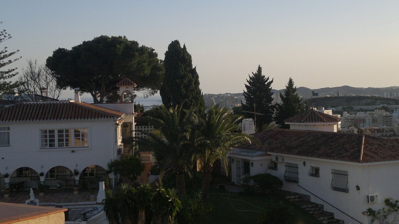 Photo of Others in Torreblanca