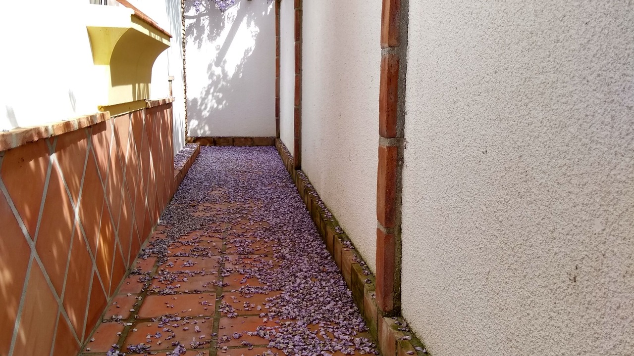 Photo of Outdoor in Competa