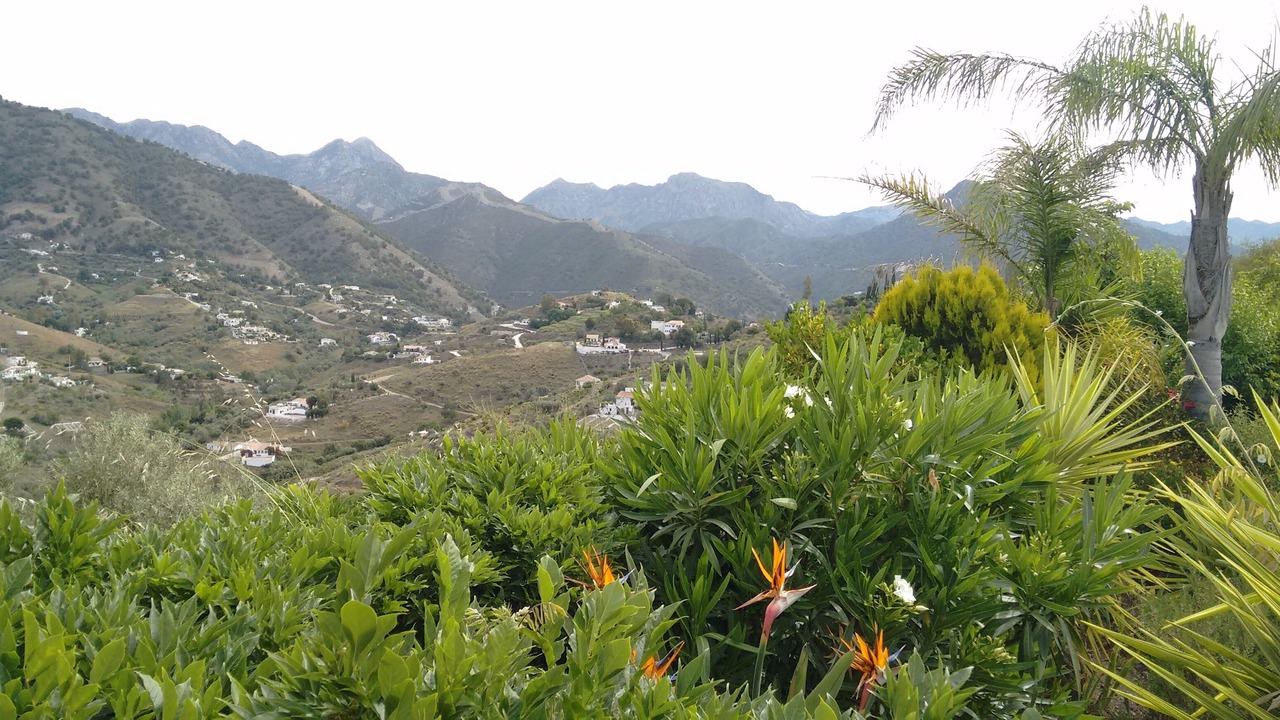 Photo of Outdoor in Competa