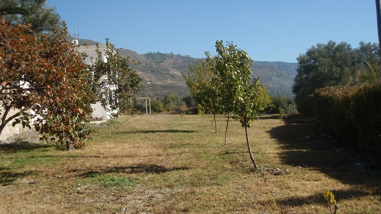 Photo of Others in Orgiva