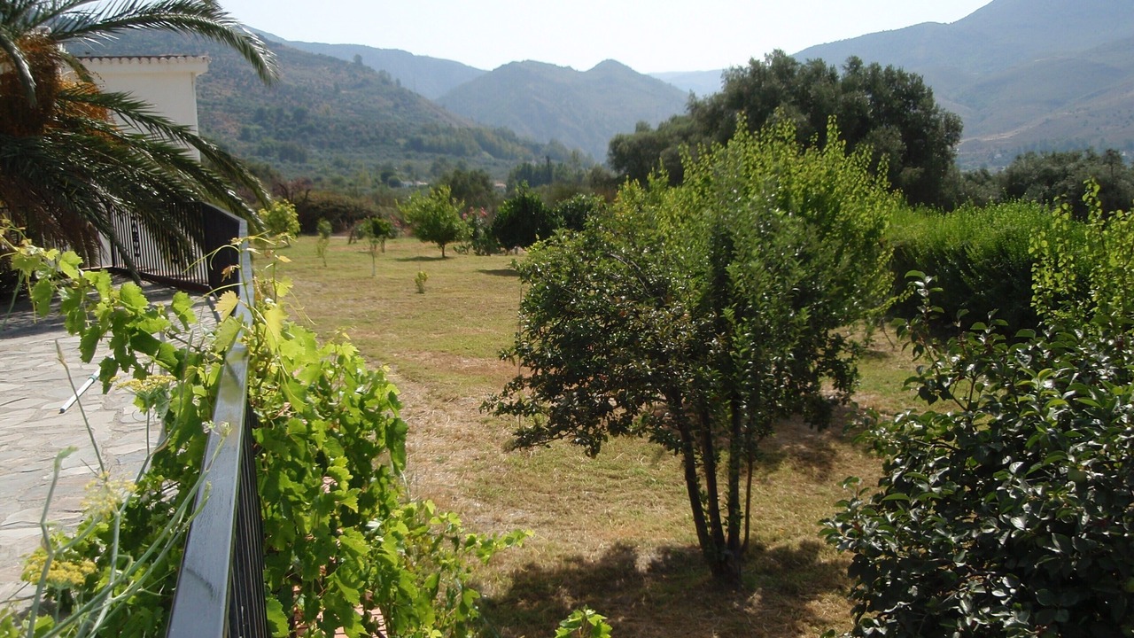 Photo of Outdoor in Orgiva
