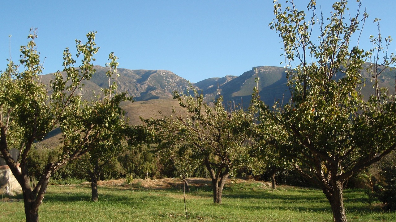 Photo of Others in Orgiva