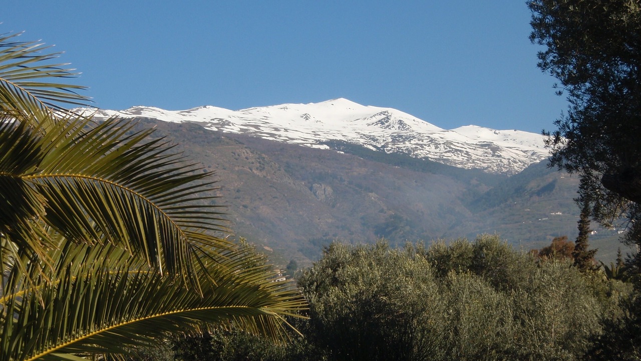 Photo of Outdoor in Orgiva