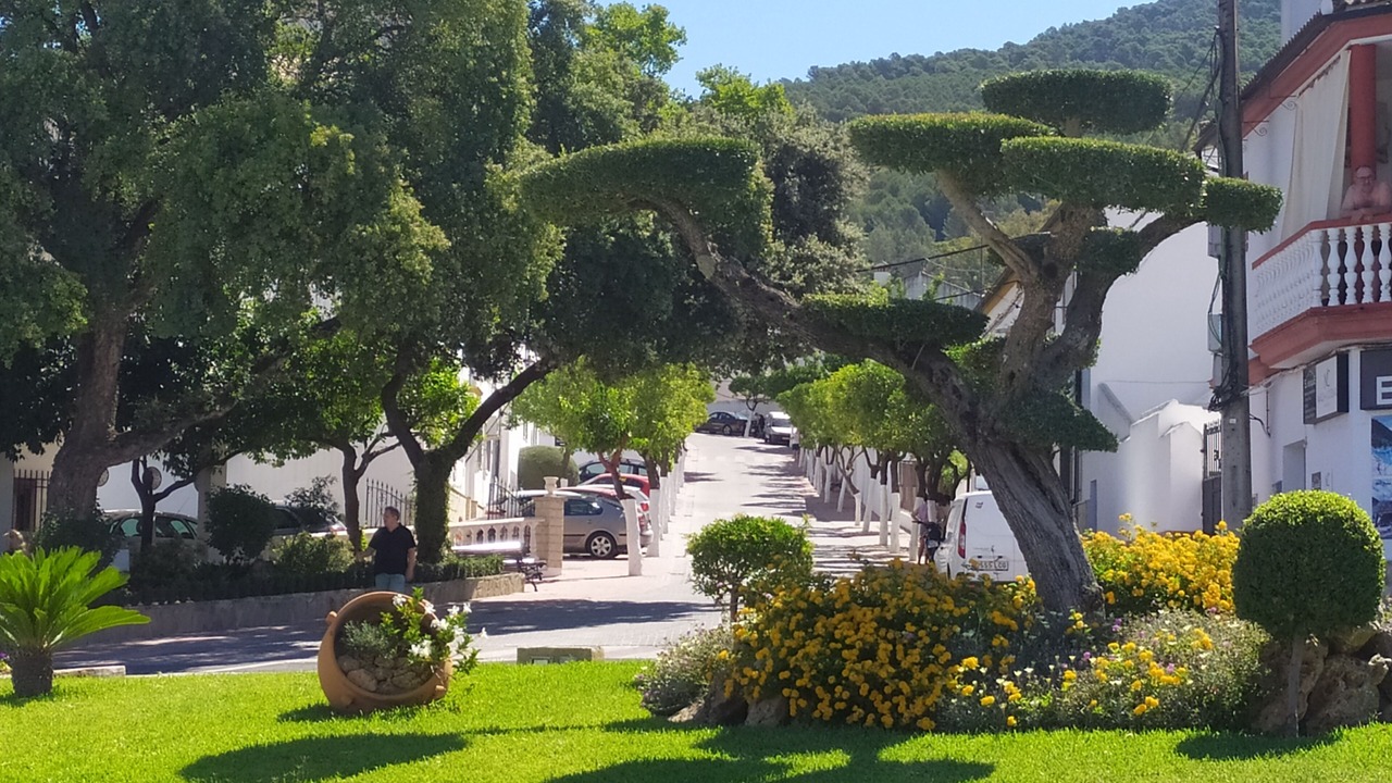 Photo of Outdoor in El Bosque
