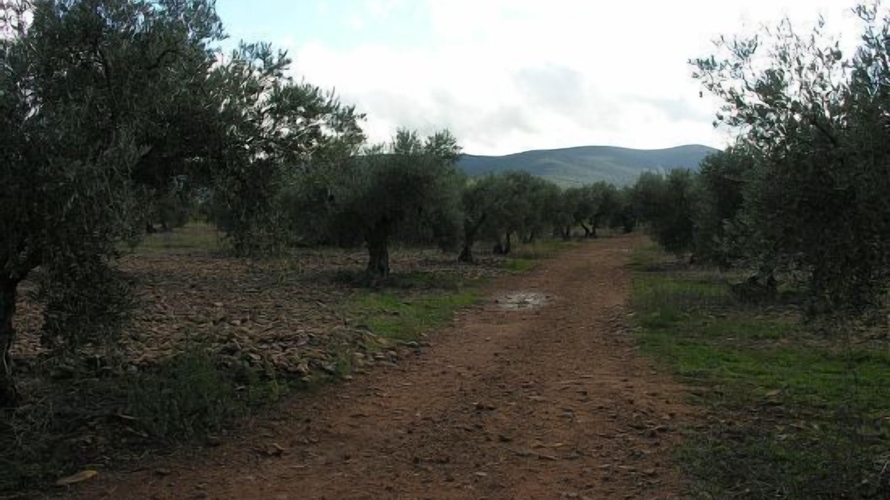 Photo of Outdoor in Malagon