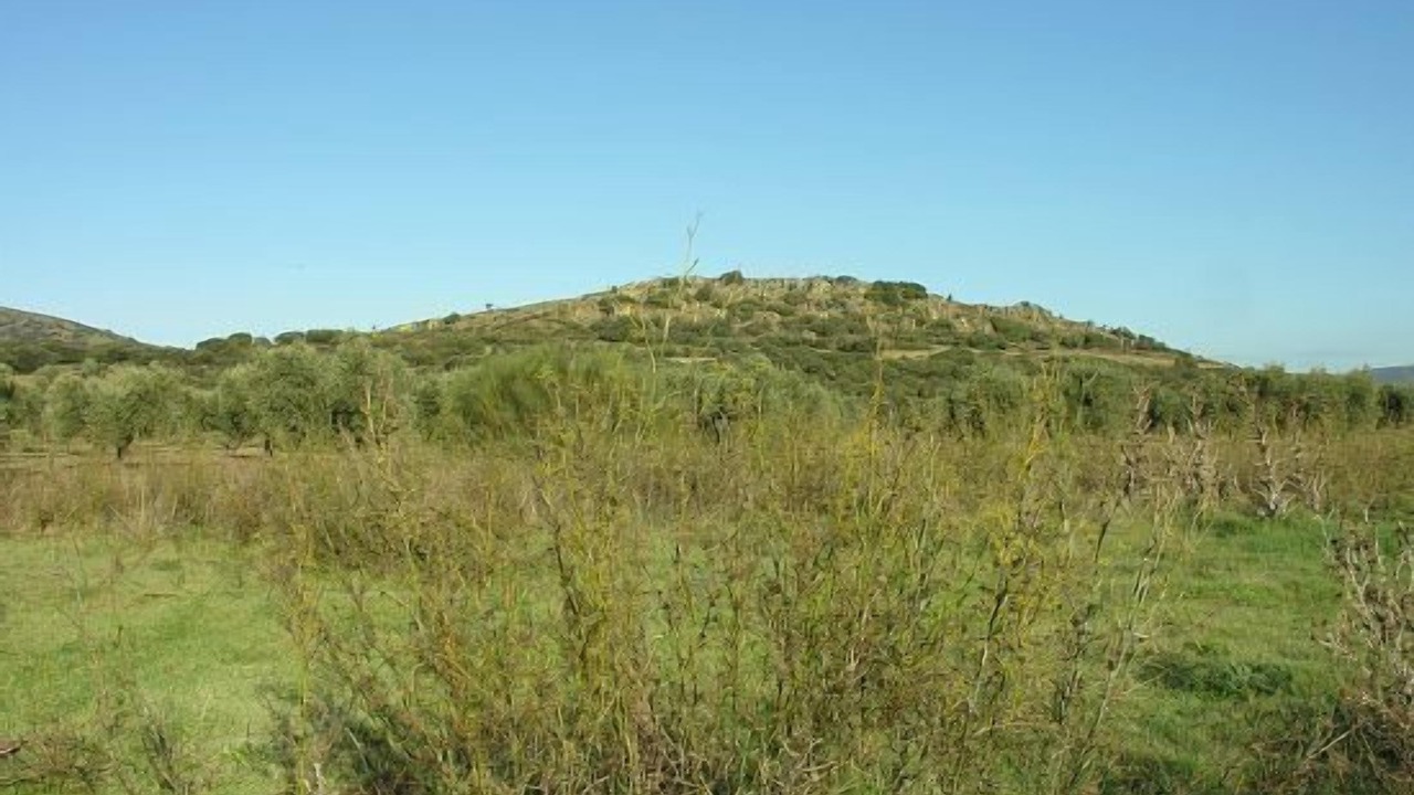 Photo of Others in Malagon
