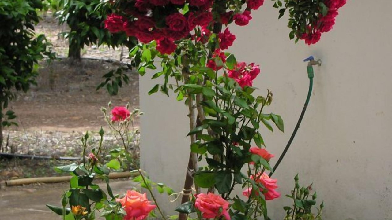 Photo of Outdoor in Malagon