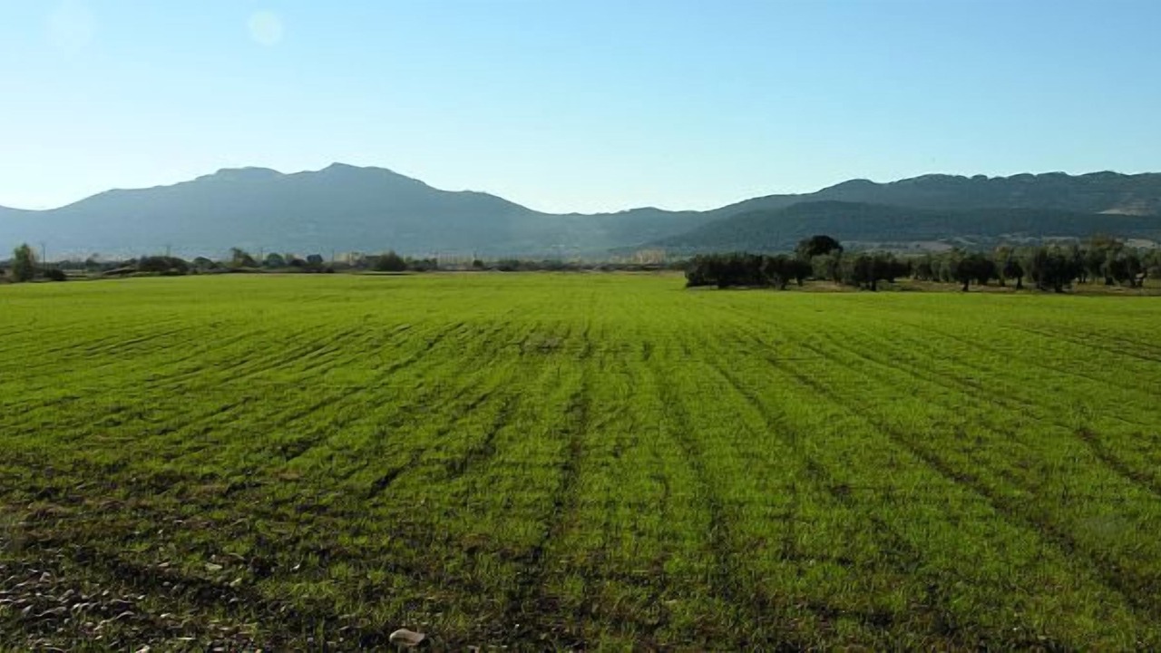 Photo of Outdoor in Malagon
