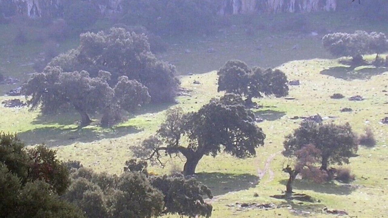 Photo of Others in Montecorto
