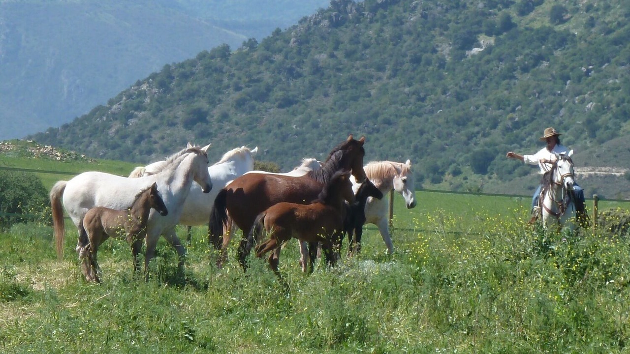 Photo of Others in Montecorto