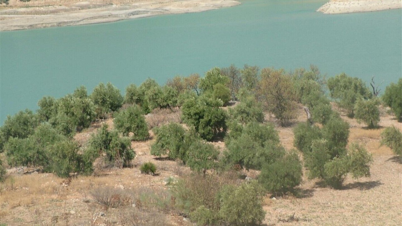 Photo of Others in Pruna