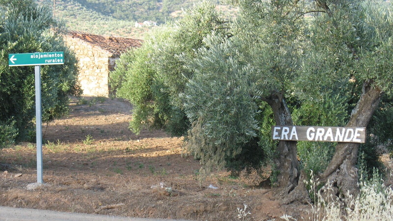 Photo of Outdoor in Pozoblanco