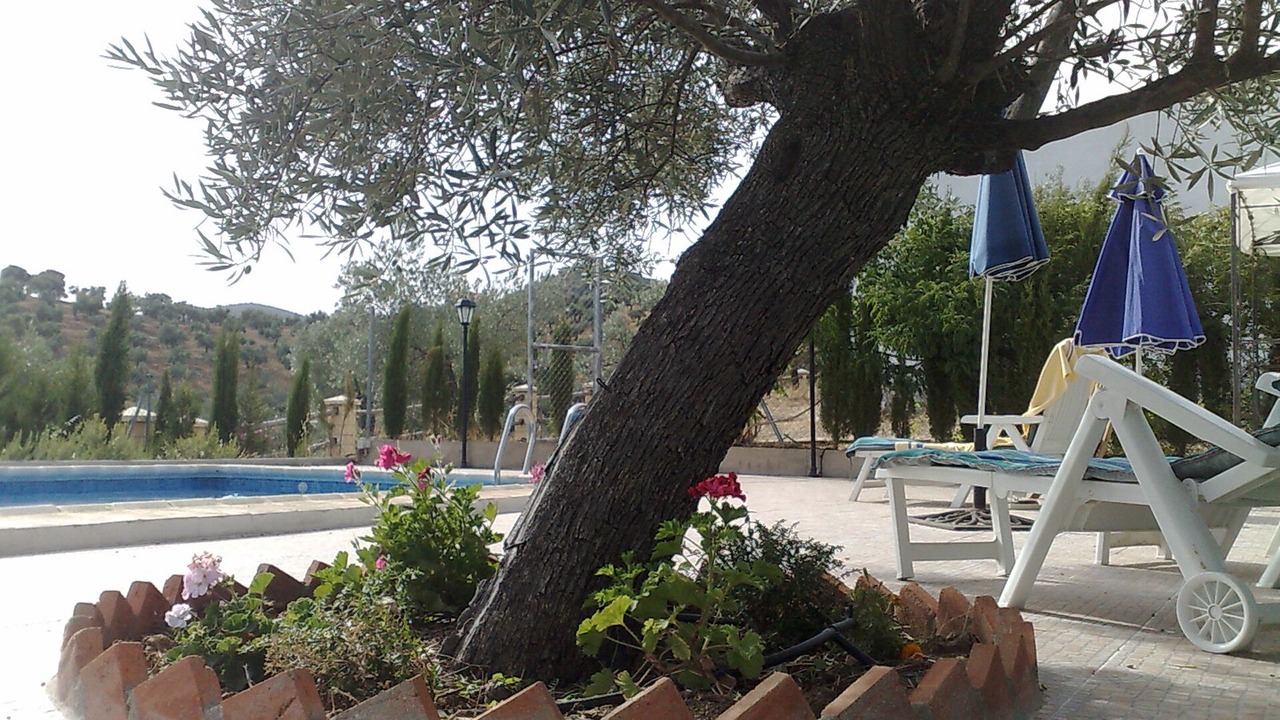 Photo of Outdoor in Pozoblanco