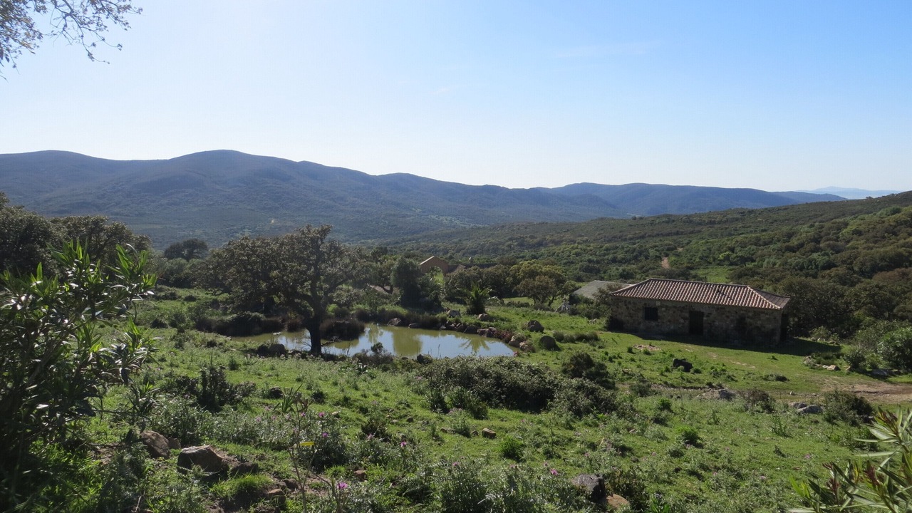 Photo of Outdoor in Medina-Sidonia