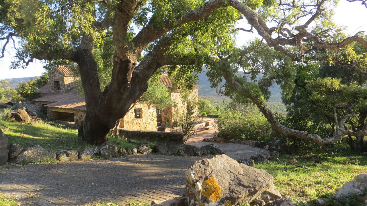 Photo of Outdoor in Medina-Sidonia