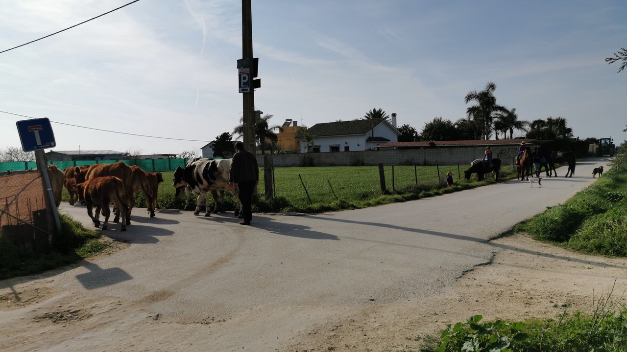 Photo of Others in El Palmar