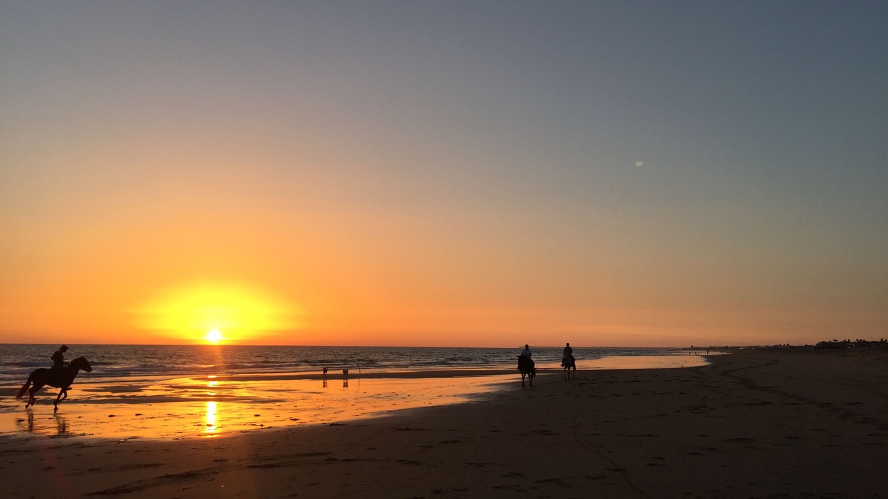 Photo of Others in El Palmar