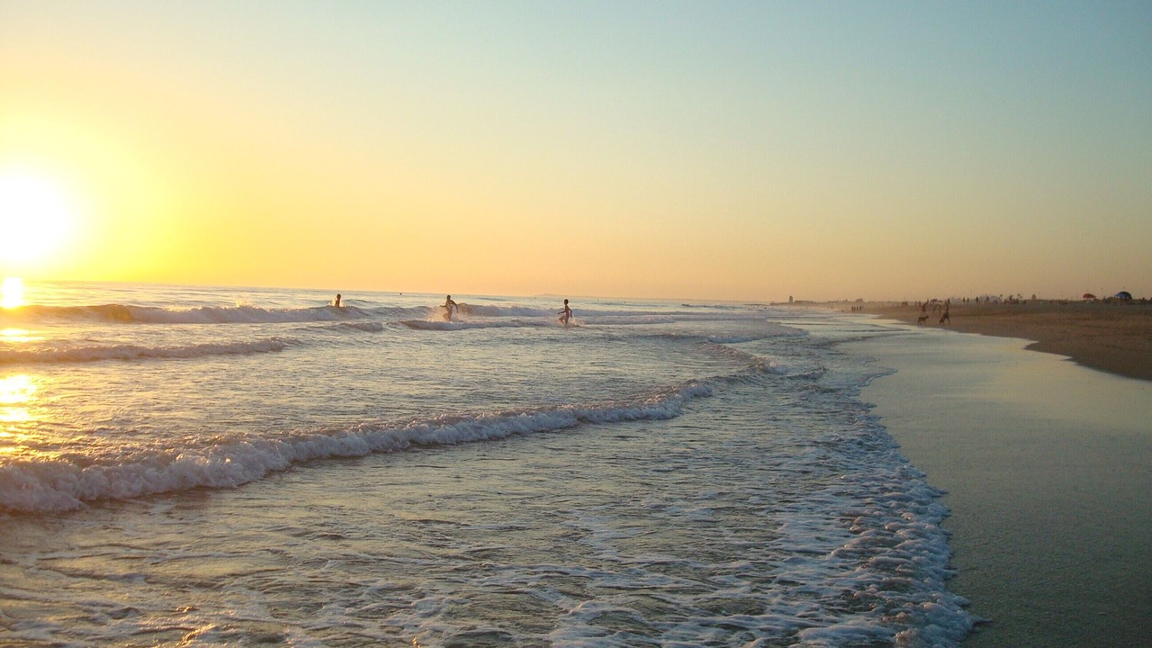 Photo of Others in El Palmar