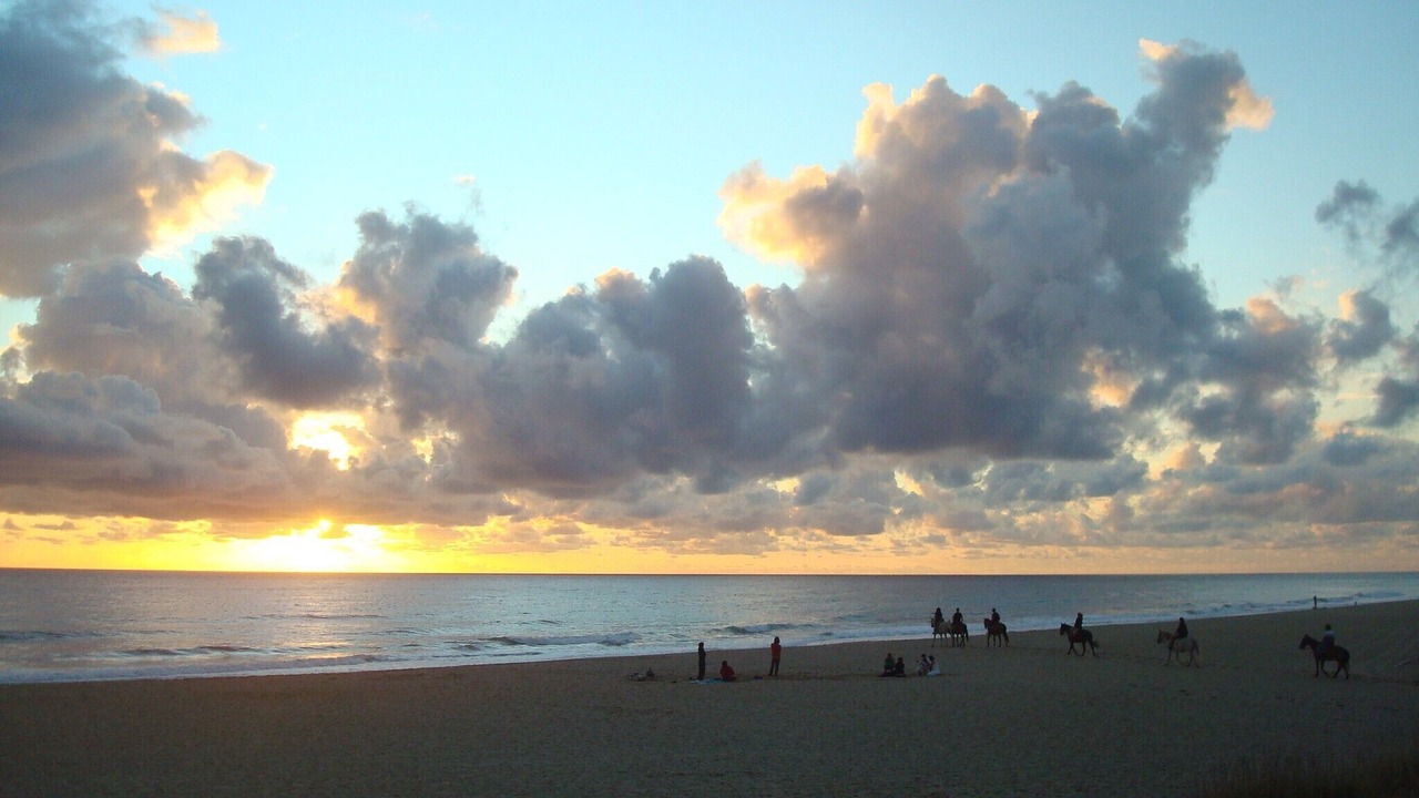 Photo of Others in El Palmar