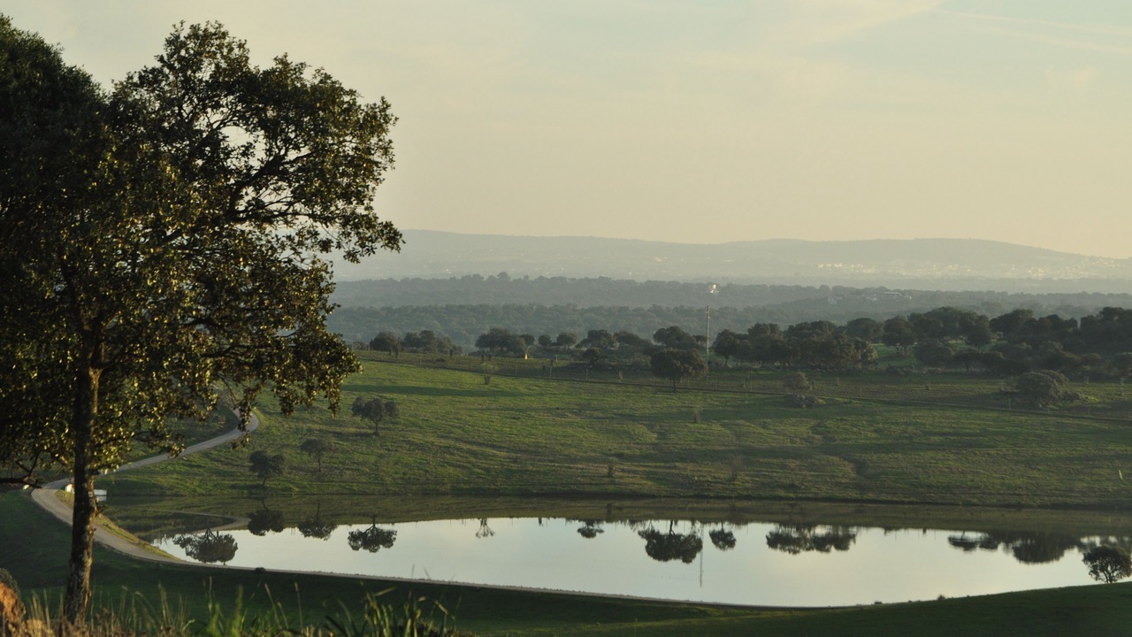 Photo of Others in Castilblanco de los Arroyos