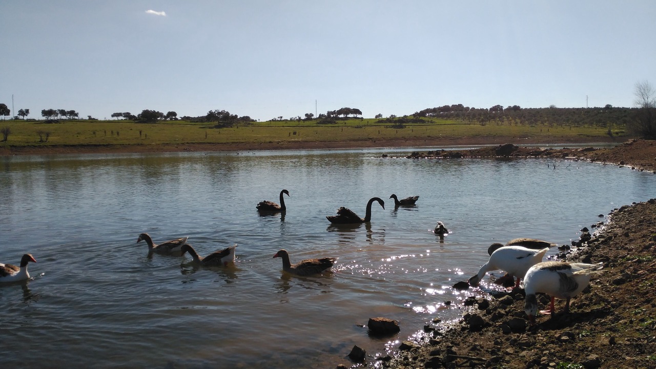 Photo of Others in Castilblanco de los Arroyos