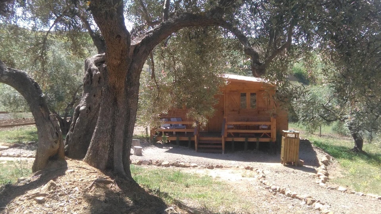 Photo of Outdoor in Almogia