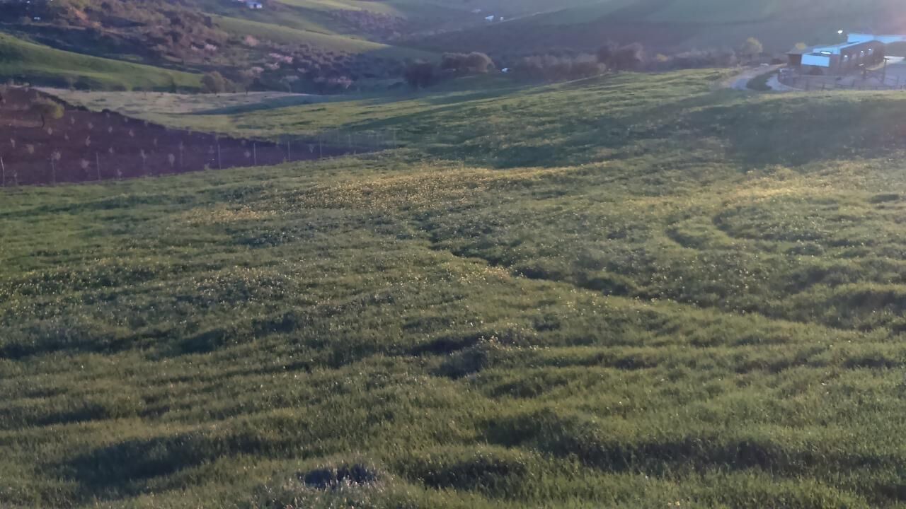 Photo of Outdoor in Almogia