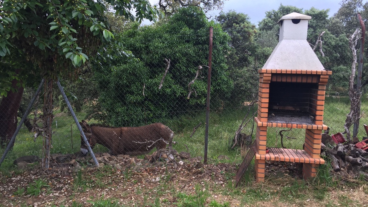 Photo of Outdoor in Castano del Robledo