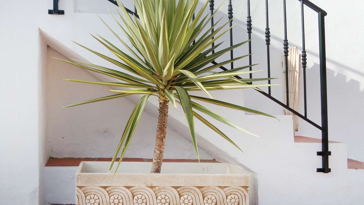Photo of Outdoor in Nerja