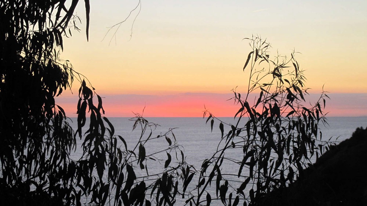 Photo of Others in Nerja
