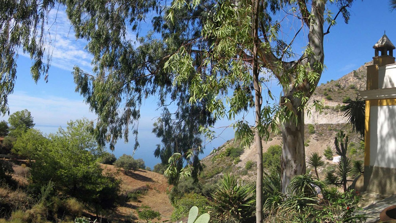 Photo of Outdoor in Nerja